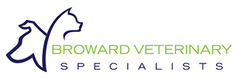 Broward Veterinary Specialists